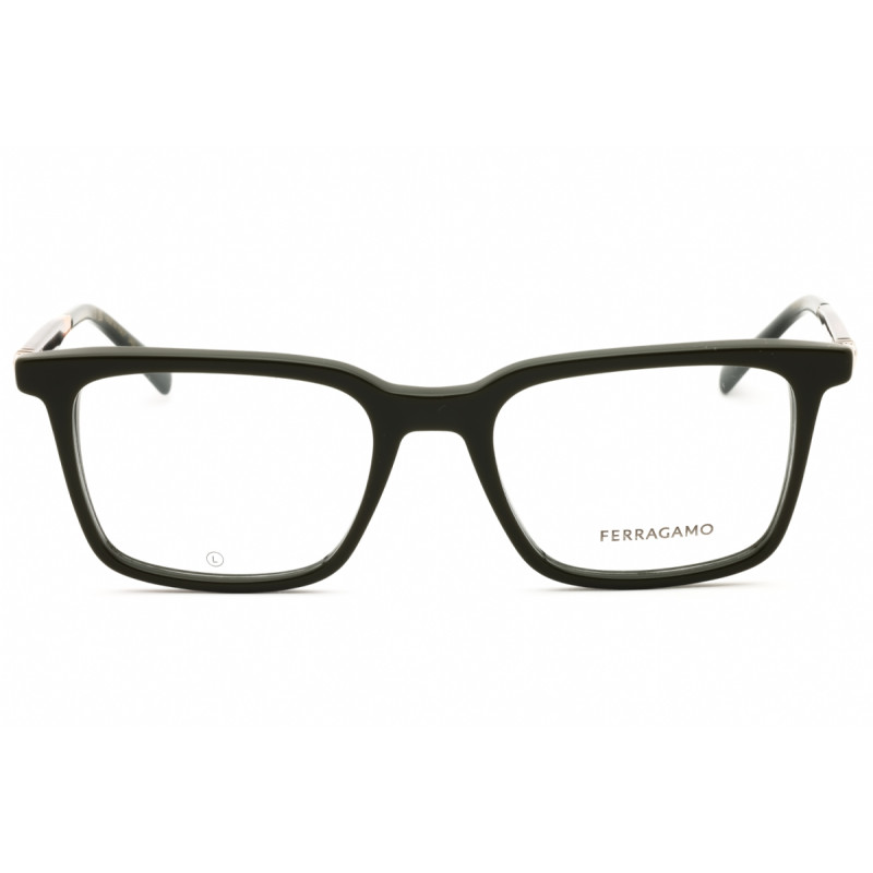 Salvatore Ferragamo SF2969 302  53 mm
