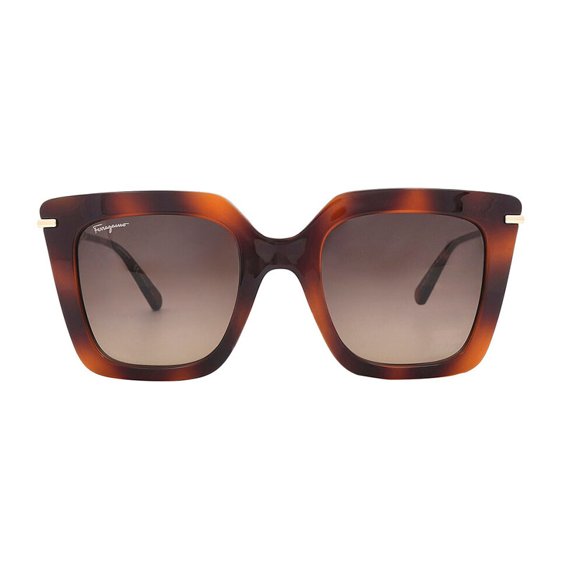 Salvatore Ferragamo SF1041S 238  51 mm