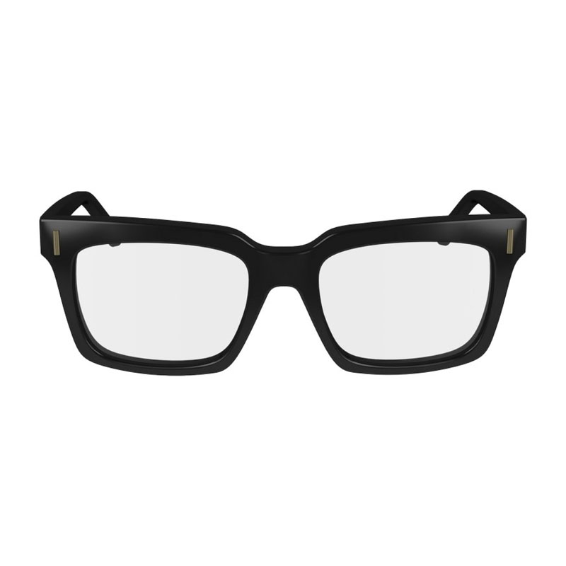 Salvatore Ferragamo SF2993 001  53 mm