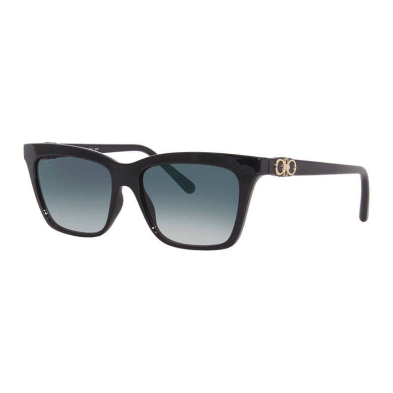Salvatore Ferragamo SF1027S 001  55 mm