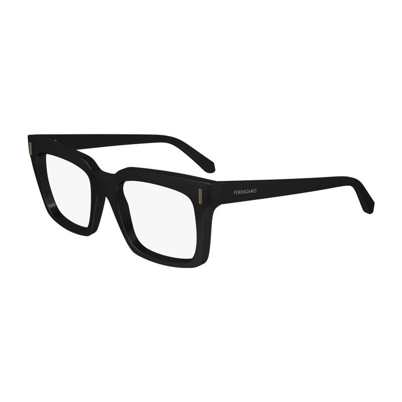 Salvatore Ferragamo SF2993 001  53 mm