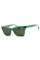 Salvatore Ferragamo SF2039SE 339  53 mm